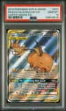 Raichu & Alolan Raichu Gx