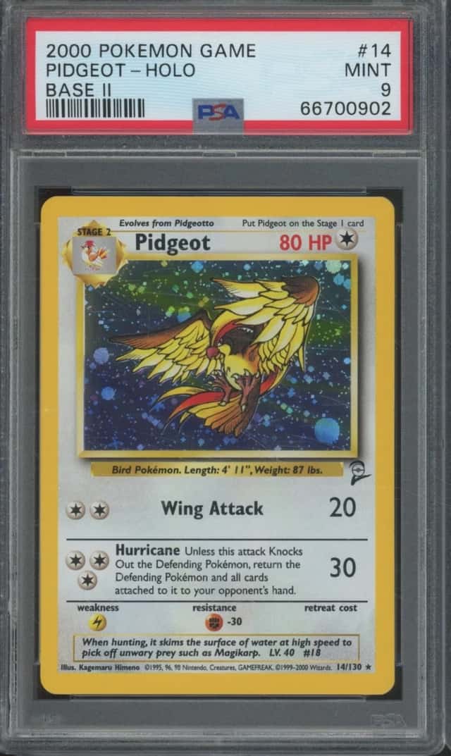 Pidgeot