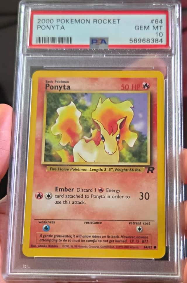Ponyta