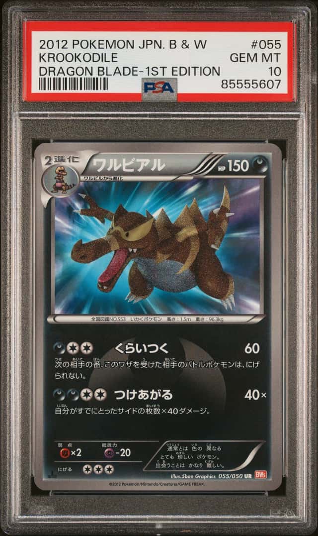 Krookodile