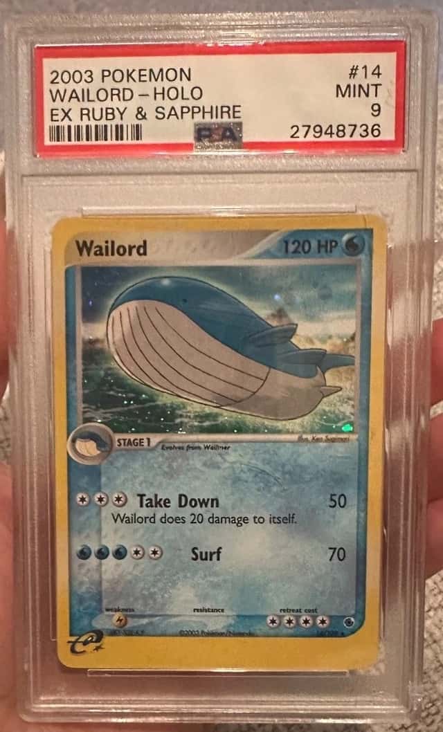 Wailord