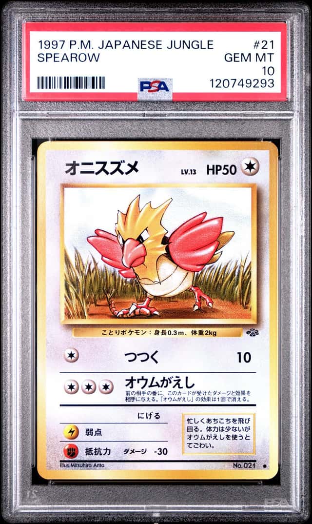 Spearow