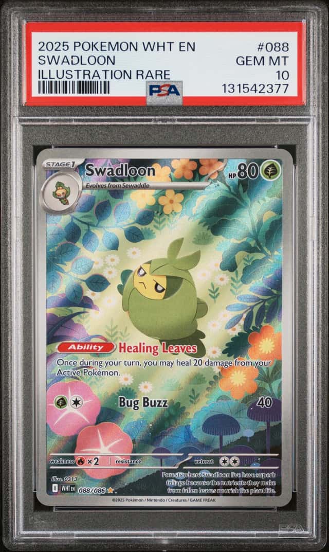 Swadloon
