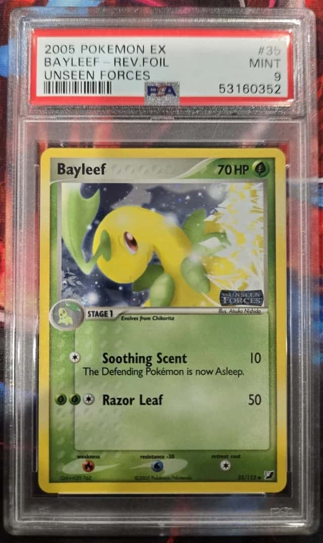 Bayleef