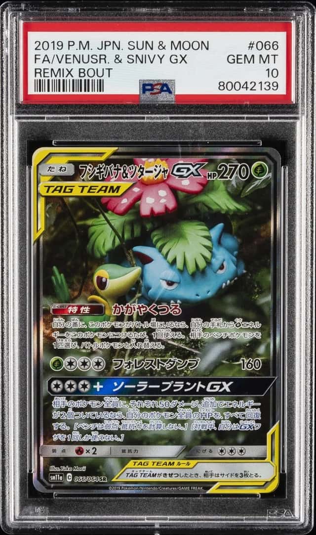 Venusaur & Snivy GX