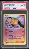 Numel Dragon
