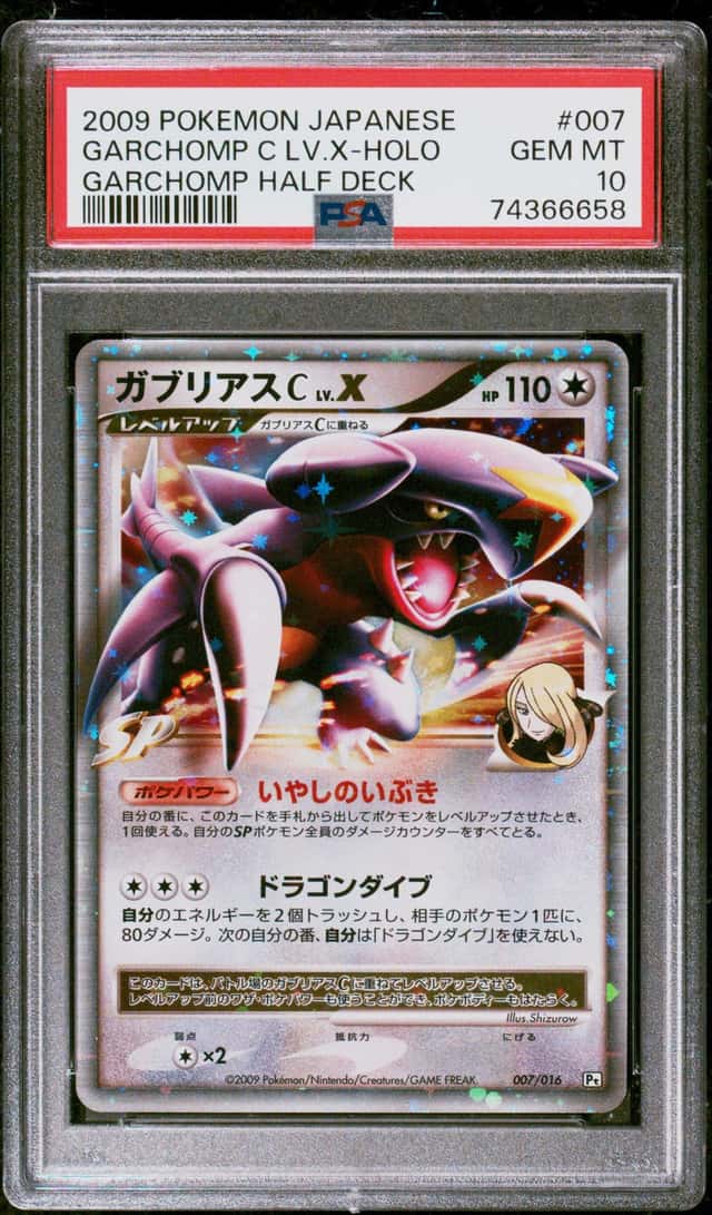 GARCHOMP C LV.X