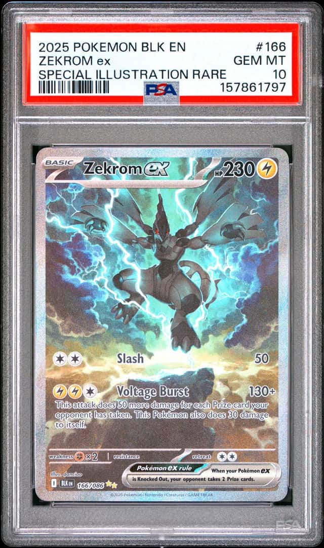 ZEKROM ex