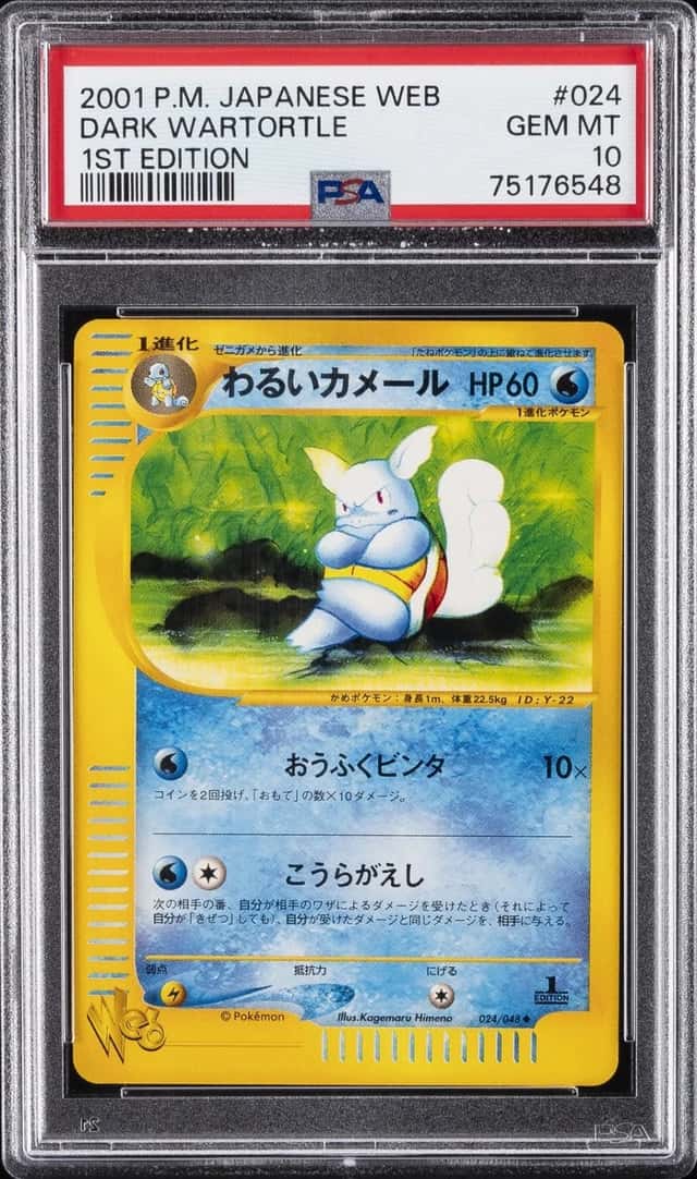 Dark Wartortle