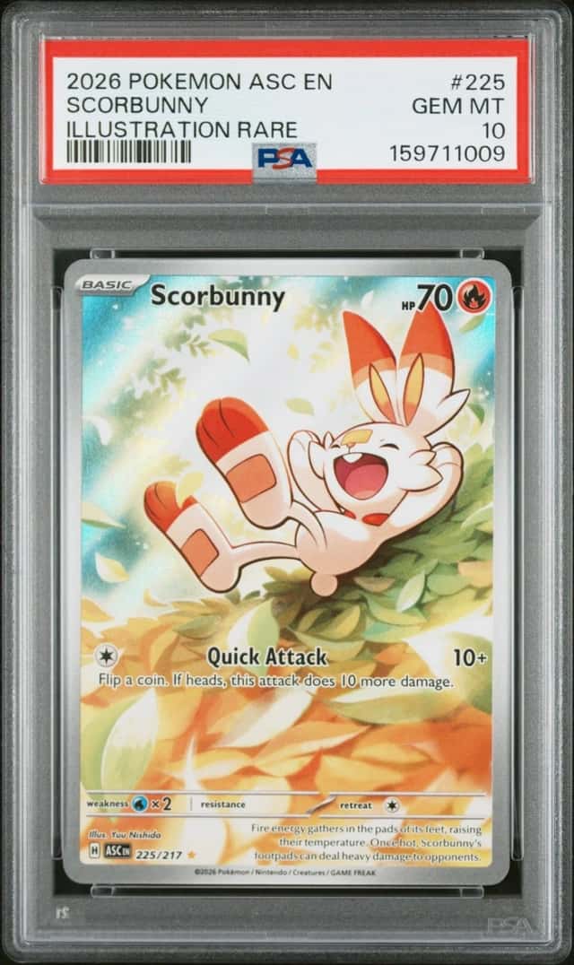 Scorbunny