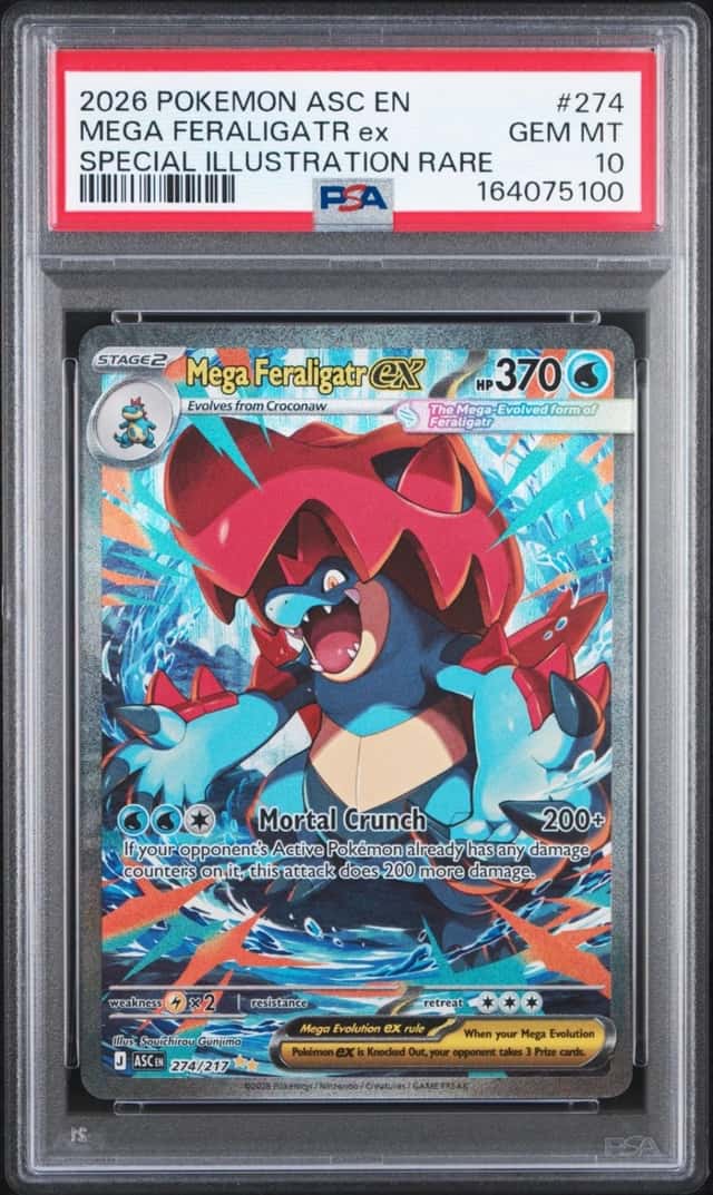 MEGA FERALIGATR ex