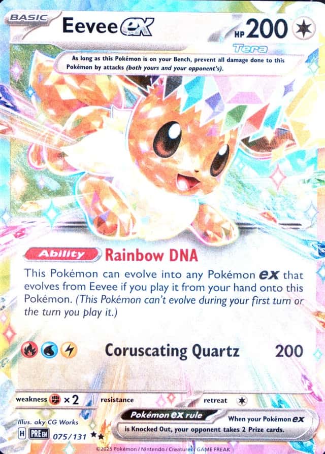 Holo