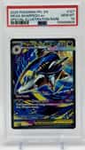 Mega Sharpedo Ex