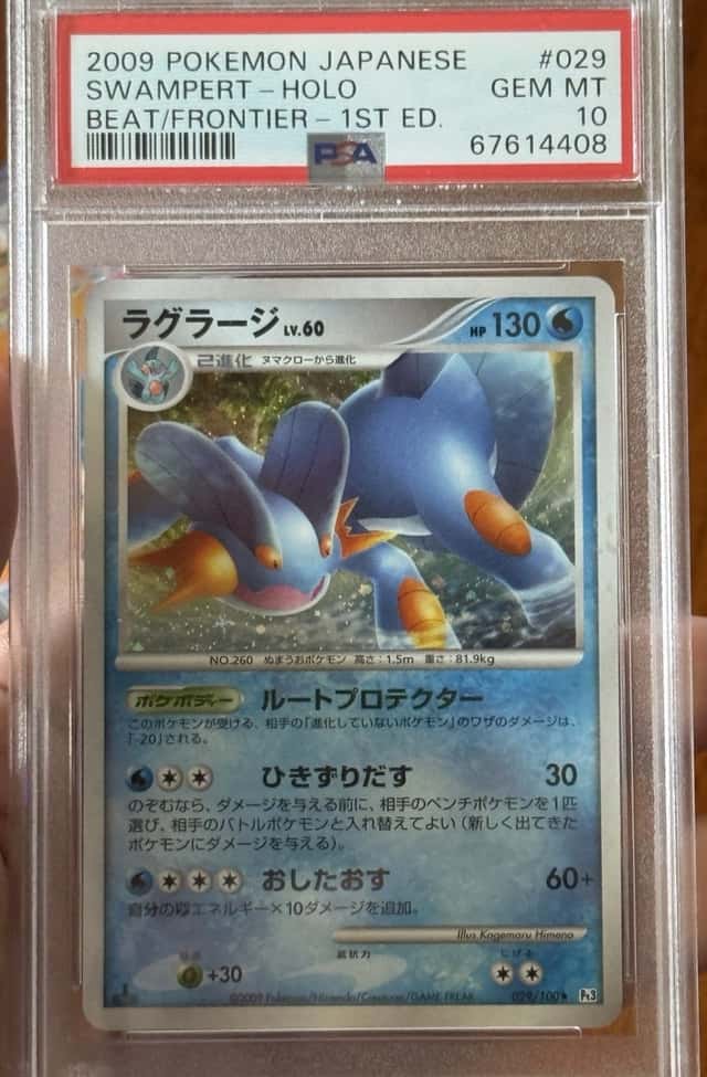 Swampert