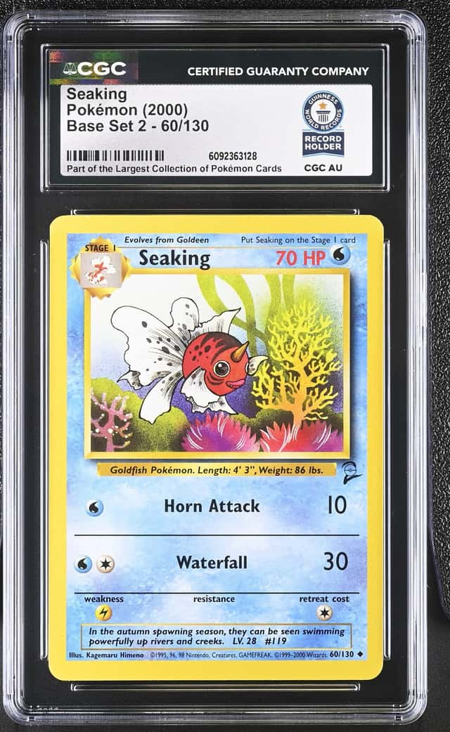 Seaking