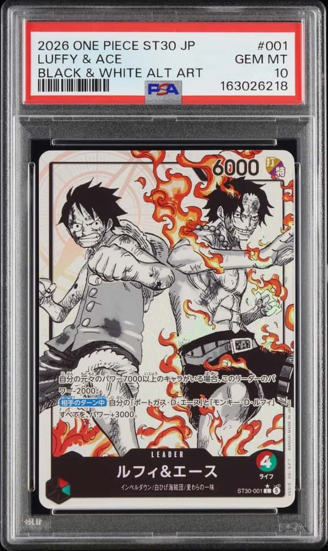 Luffy & Ace