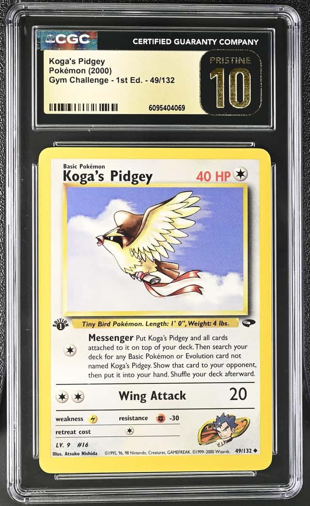 Koga's Pidgey