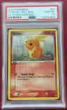 Torchic