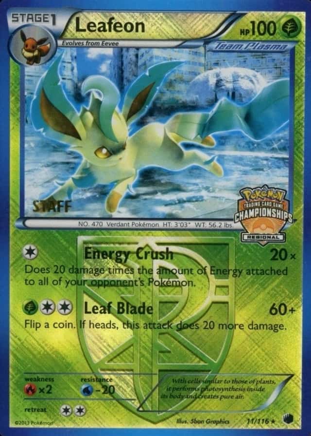 Holo · Championships Crosshatch Euro Regional Spring Staff