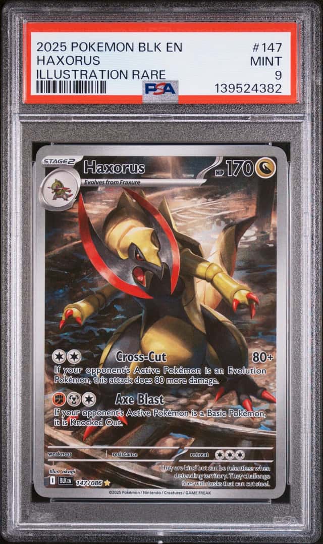 Haxorus