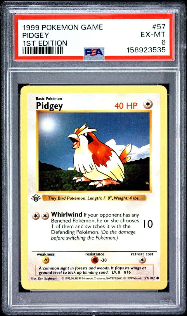 Pidgey