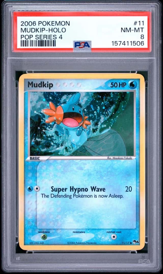 Mudkip