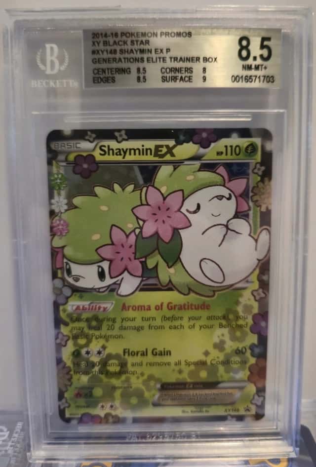 Shaymin EX