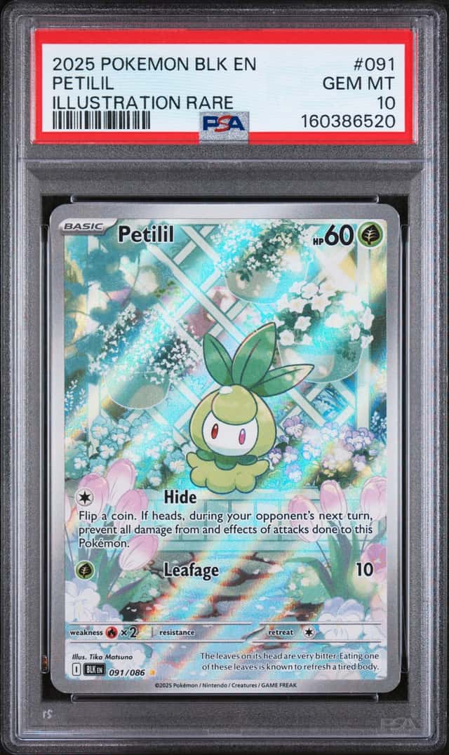 Petilil