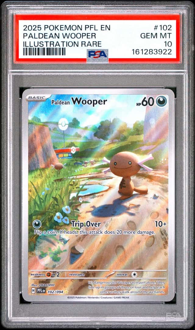 Paldean Wooper