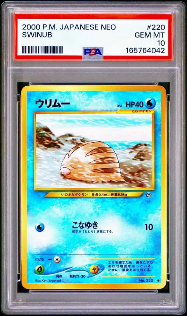 Swinub