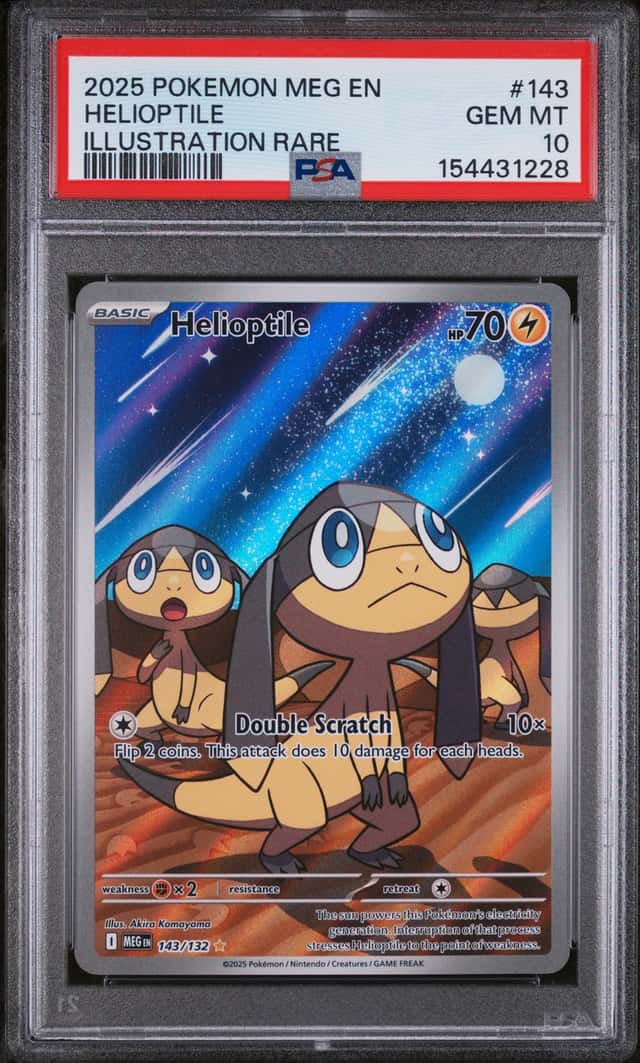 Helioptile