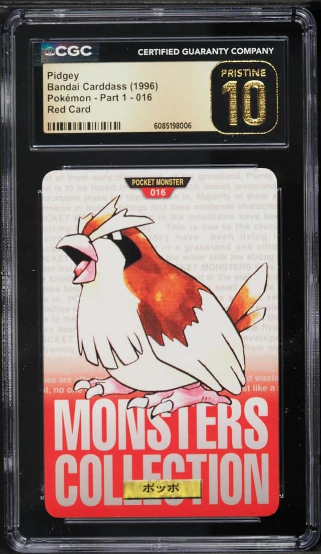 Pidgey
