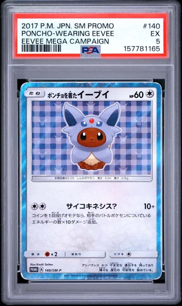 Poncho-Wearing Eevee
