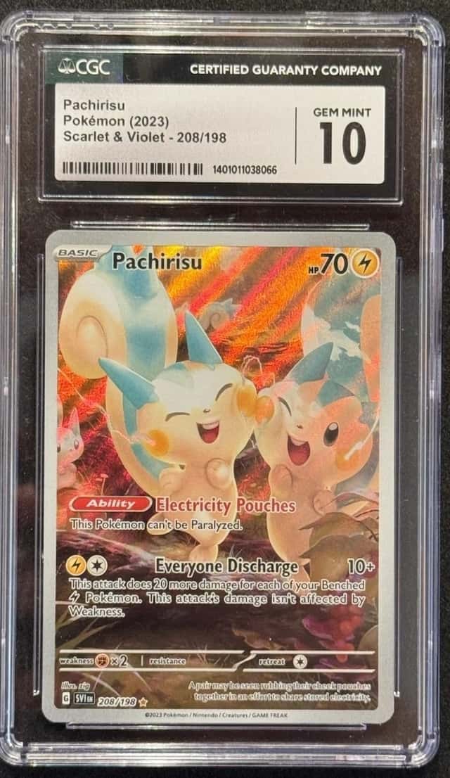 Pachirisu