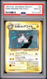 Dark Magneton