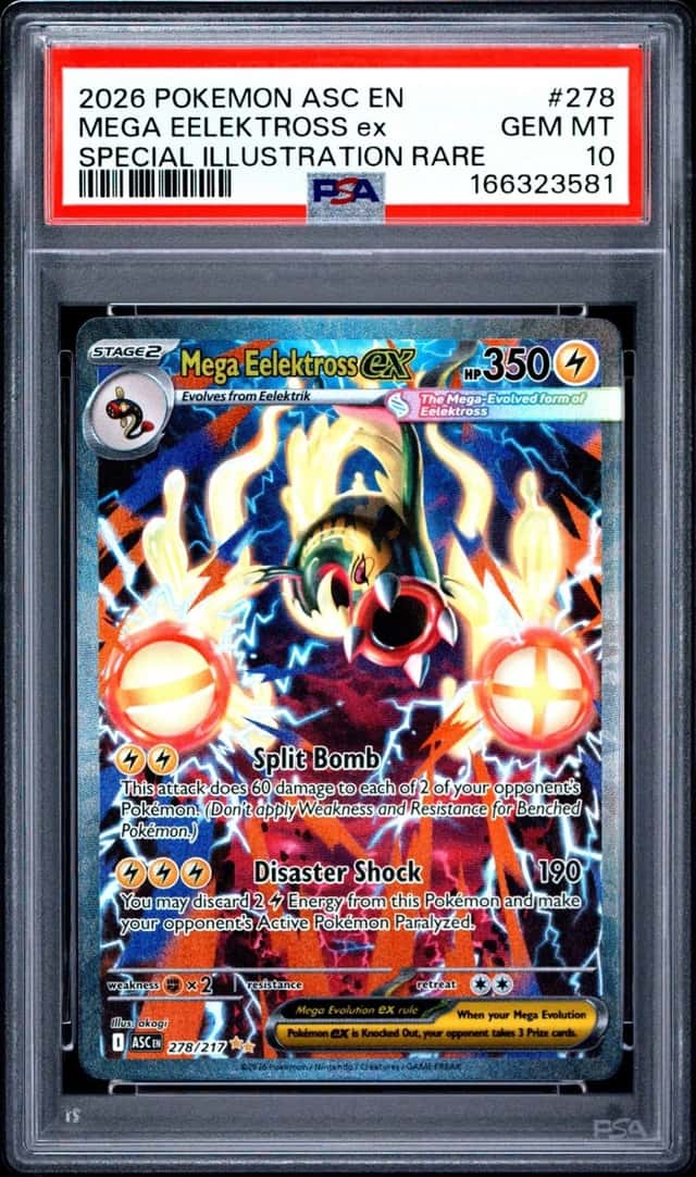 MEGA EELEKTROSS ex