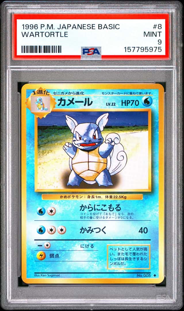 Wartortle