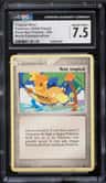Tropical Wind