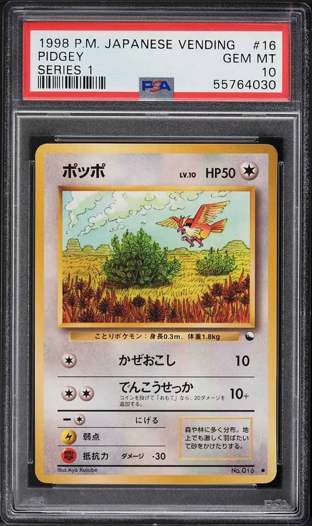 Pidgey
