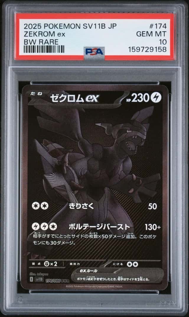 ZEKROM ex