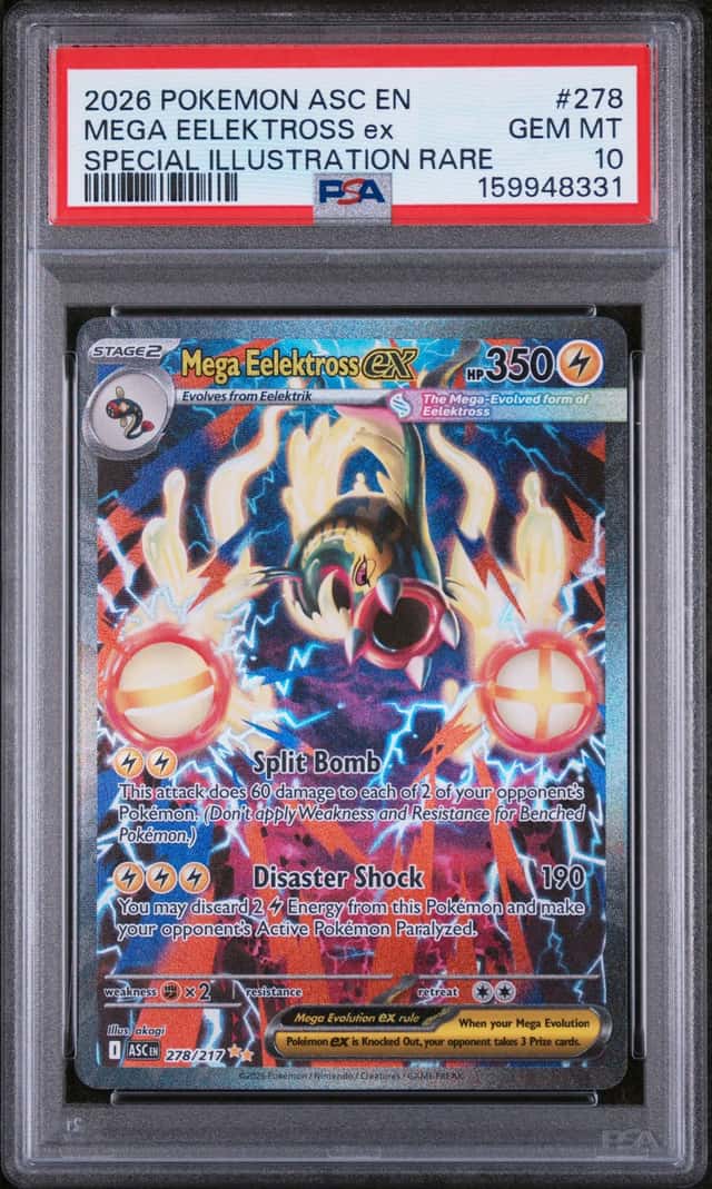 MEGA EELEKTROSS ex