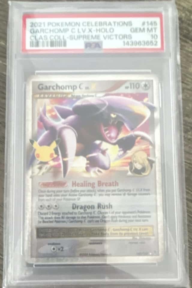 GARCHOMP C LV.X