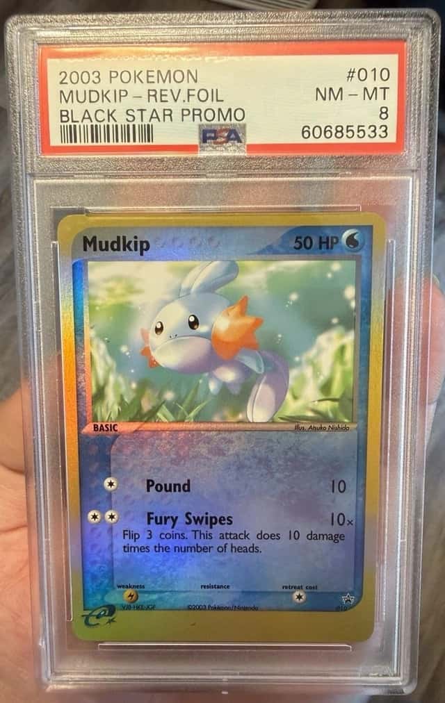 Mudkip