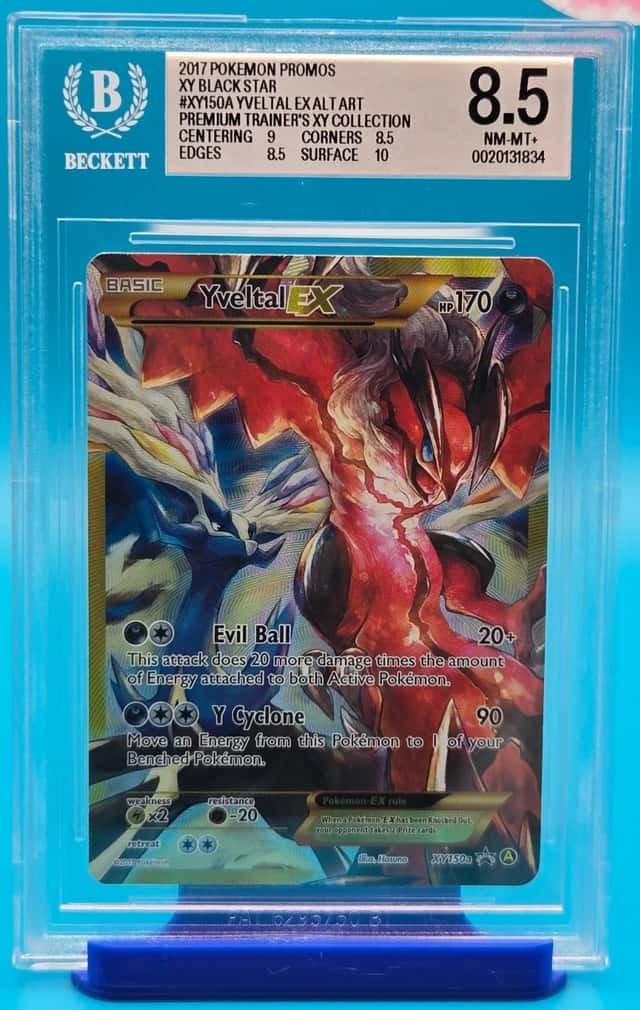 Yveltal EX