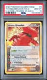 Team Magma'S Groudon