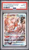 Hisuian Zoroark Vstar