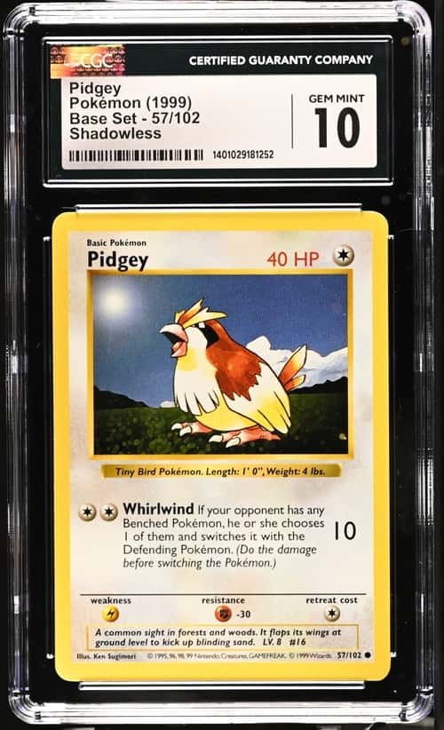 Pidgey