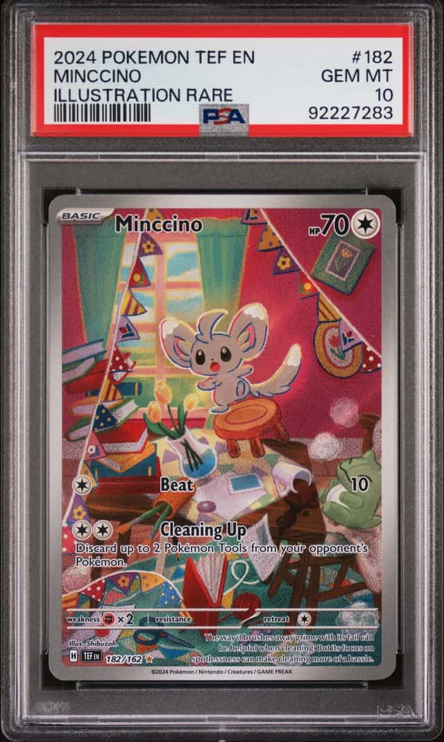 Minccino