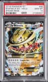 M Steelix Ex