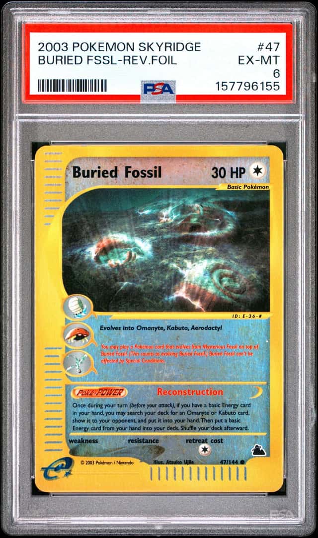 Buried Fossil